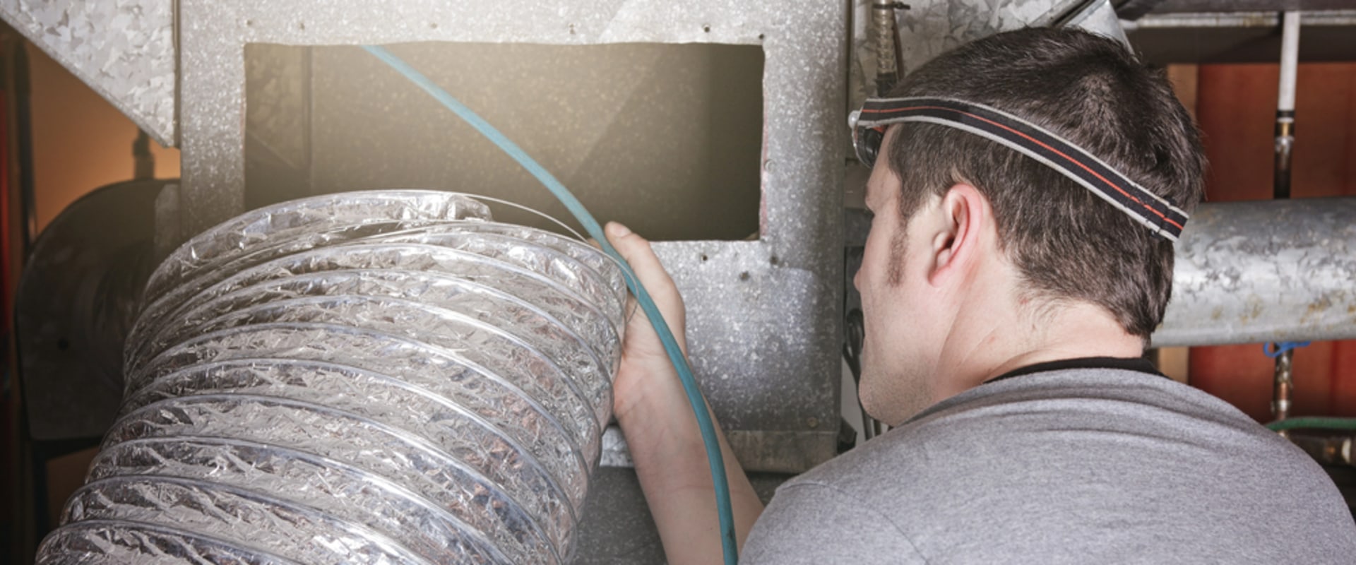 Cleaning Pet Odors With Air Duct Cleaning in Celebration